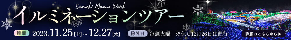 イルミネーションツアー 期間：2023年11月25日（土曜日）～12月27日（水曜日） 詳細はこちらから