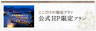 ここだけの限定プラン 公式HP限定プラン