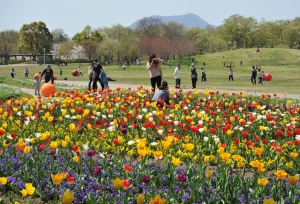 少し早い春だより*･゜ﾟ･*:.｡国営讃岐まんのう公園