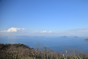 【紫雲出山】登山道で色づき始めました