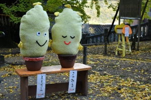 【香川の紅葉スポット】岩部八幡神社★樹齢700年、400年超の2本の大銀杏が間もなく見頃♪