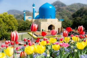 春色に包まれるレオマリゾート🌷3/20～約7万本のチューリップ祭開催！