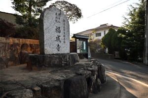 春を先取り🌸福成寺「椿寒桜」見頃のご案内｜桜の抄から車で約20分