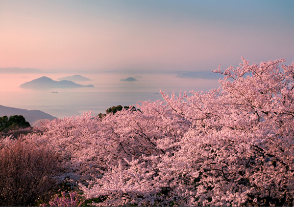 世界の絶景12選 ♪　紫雲出山　♪