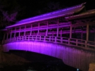 高燈篭・鞘橋のライトアップ！！