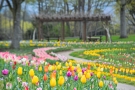 春のおでかけにおすすめ♪ 国営讃岐まんのう公園「春らんまんフェスタ」開催中！（～5月11日まで）