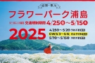 瀬戸内の風に揺れる白い花の海へ♪「フラワーパーク浦島」でマーガレット満開！