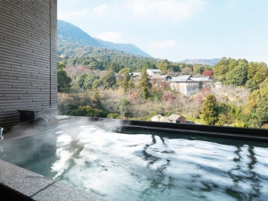 New Guest Room - Hatsune - (Mt.Sanuki Fuji side)