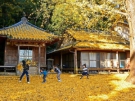 Best foliage spots of Kagawa - 3