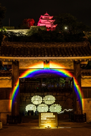 ✨丸龜城城堡之路 Reborn 2025-2026 正在舉辦✨ 秋天的夜晚前往燈火通明的丸龜城吧♪