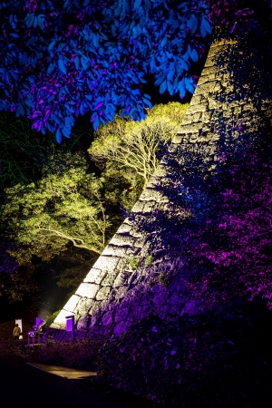 ✨丸龜城城堡之路 Reborn 2025-2026 正在舉辦✨ 秋天的夜晚前往燈火通明的丸龜城吧♪