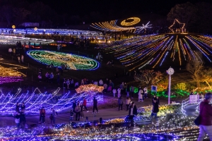 ✨出發前往冬季絕景!「滿濃公園冬季奇幻之旅」琴平出發的旅遊行程確定舉辦✨