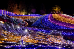 ✨出發前往冬季絕景!「滿濃公園冬季奇幻」琴平出發及返程團體旅遊開跑✨