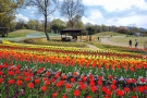 國營讚岐滿濃公園-春季浪漫旅開始囉！！